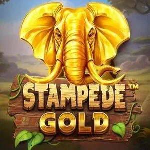 Stampede Gold